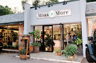 Events - Moss & More