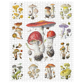 1000 pc Puzzle - Mushrooms Pomegranate