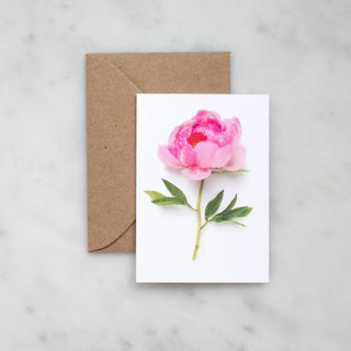 Enclosure card - Pink Peony Bottle Branch