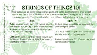 Succulent_Strings_of_Things