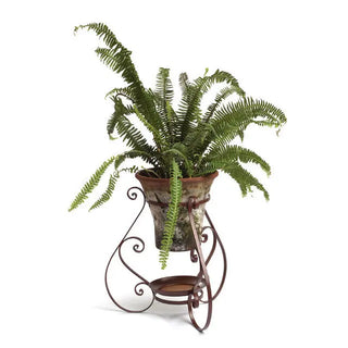 Plant Accessories - Moss & More