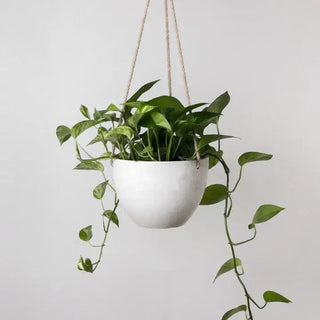 8" Signature Stone Hanging Planter Pot Kanso Designs