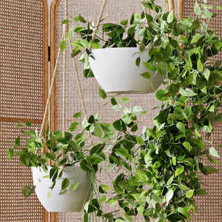 8" Signature Stone Hanging Planter Pot Kanso Designs