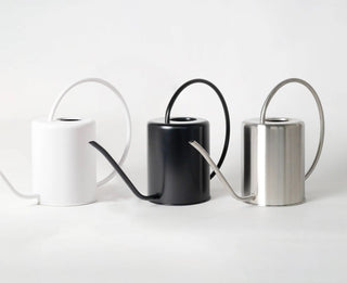 2L Stainless Steel Watering Can: Black Kanso Designs