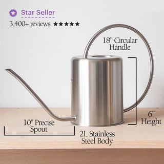 2L Stainless Steel Watering Can: Black Kanso Designs