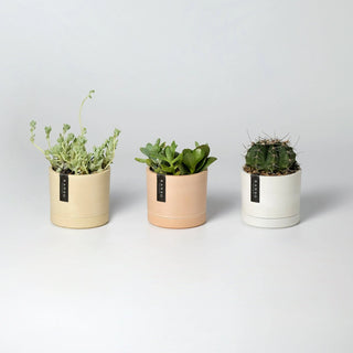 3.5" Earth Tone Mini Planters Kanso Designs