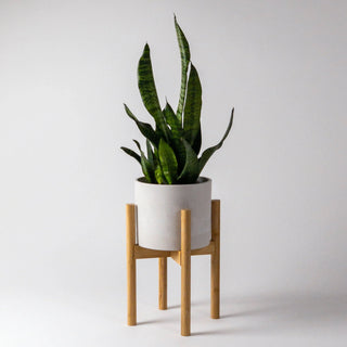 Adjustable Bamboo Plant Stand Kanso Designs