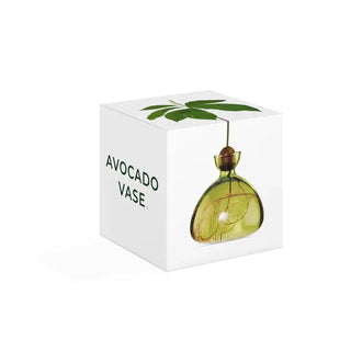 Avocado Vase Ilex Studio