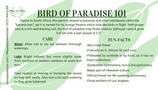 Bird_of_Paradise