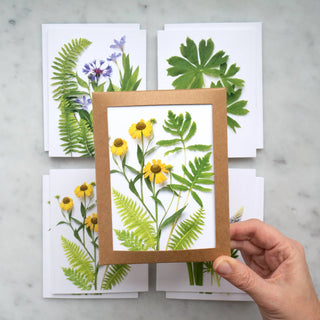 Card set - Ferns and Flowers Bottle Branch