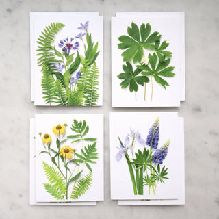 Card set - Ferns and Flowers Bottle Branch