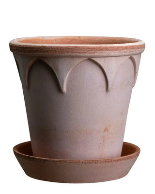 Elizabeth Bergs Potter