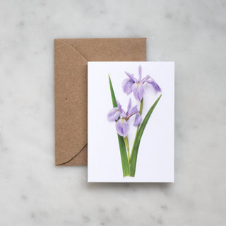 Enclosure card - Iris Bottle Branch