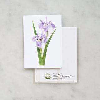 Enclosure card - Iris Bottle Branch