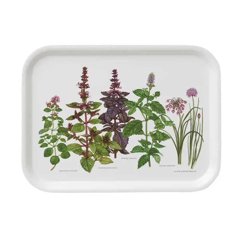 Herbs Tray - Moss & More