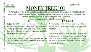 Money_tree