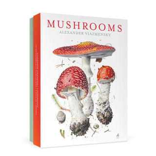 Mushroom Notecards Pomegranate