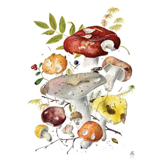 Mushroom Notecards Pomegranate