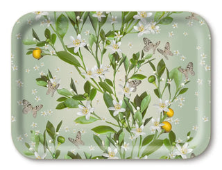 Orange Blossom Tray Jamida