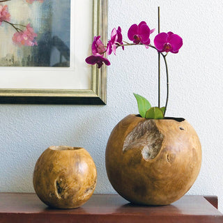 8" Teak Ball Pot - Moss & More