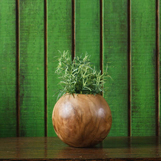 8" Teak Ball Pot - Moss & More