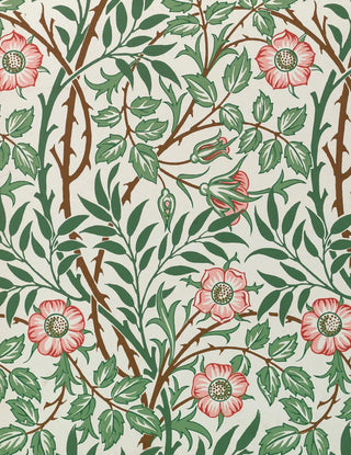 William Morris Notecards Pomegranate